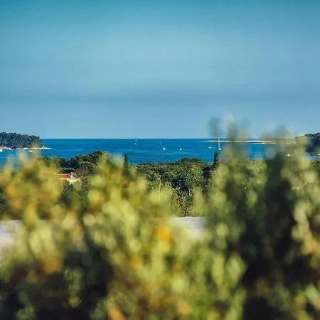 Biba Near Medulin, Istria Villa *